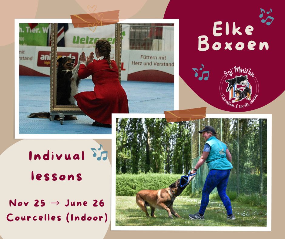 Cours individuels avec Elke Boxoen