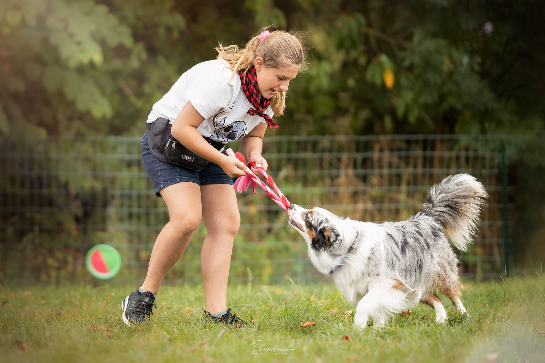 Stage Toussaint - Mini éleveurs canins
