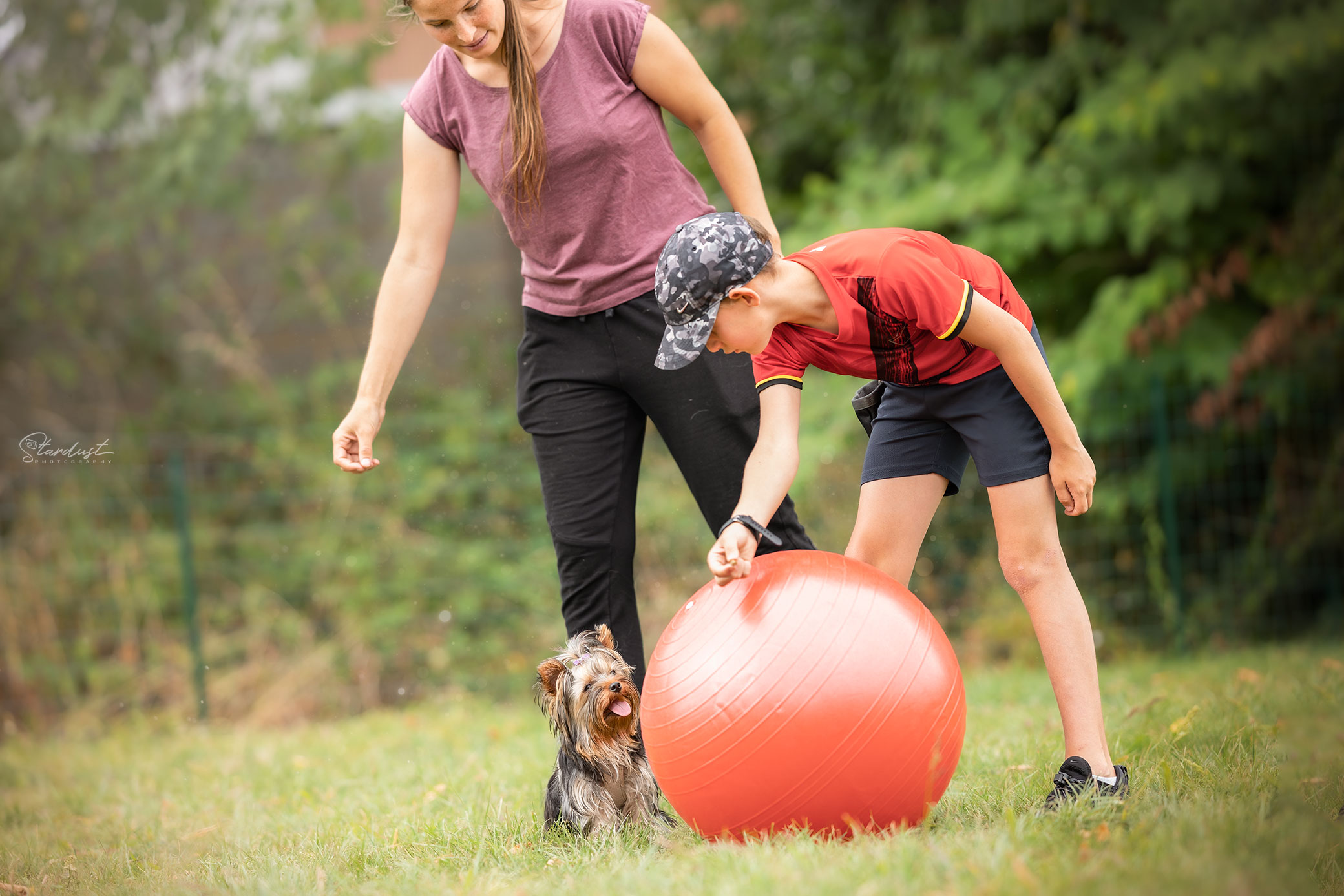 Stage Toussaint - Sports canins & multisports fun