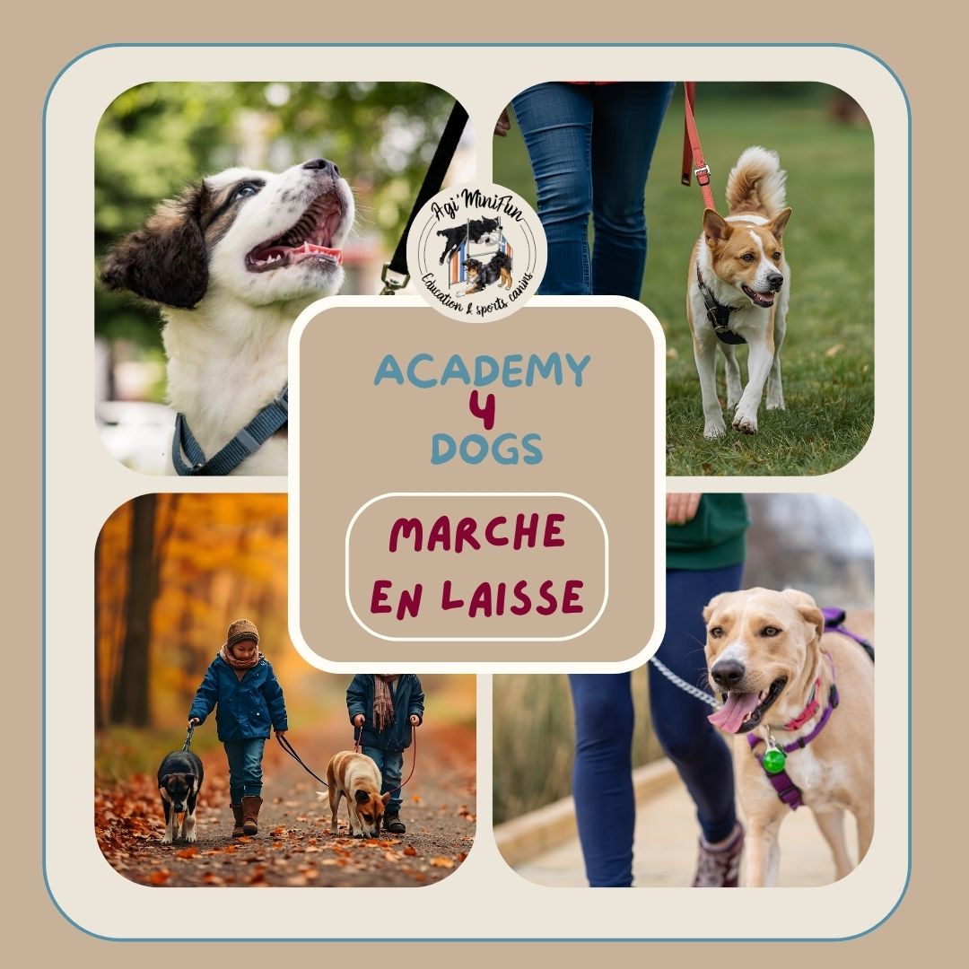 Module "Marche en laisse"