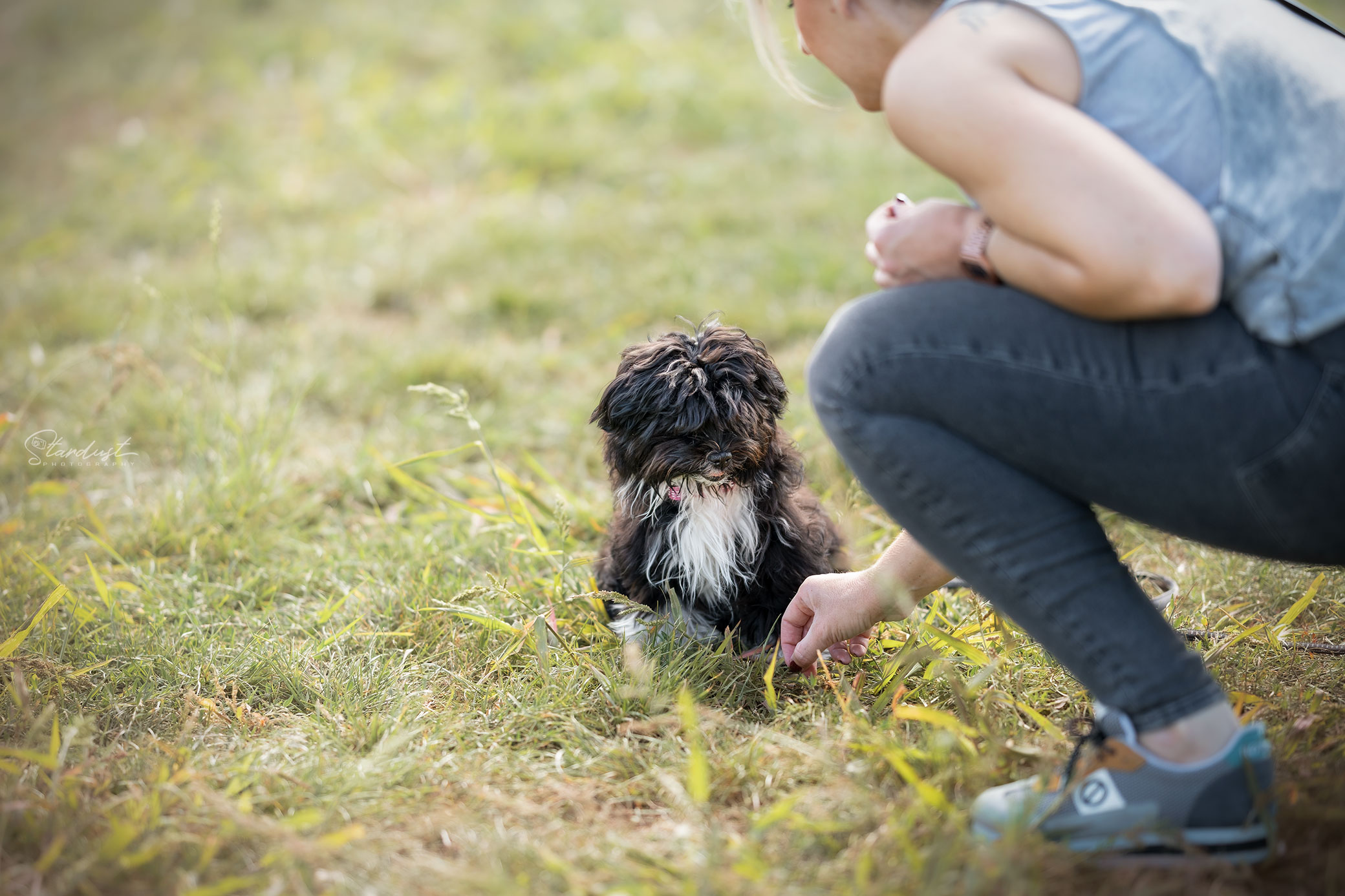 Séance d'accueil Chiots