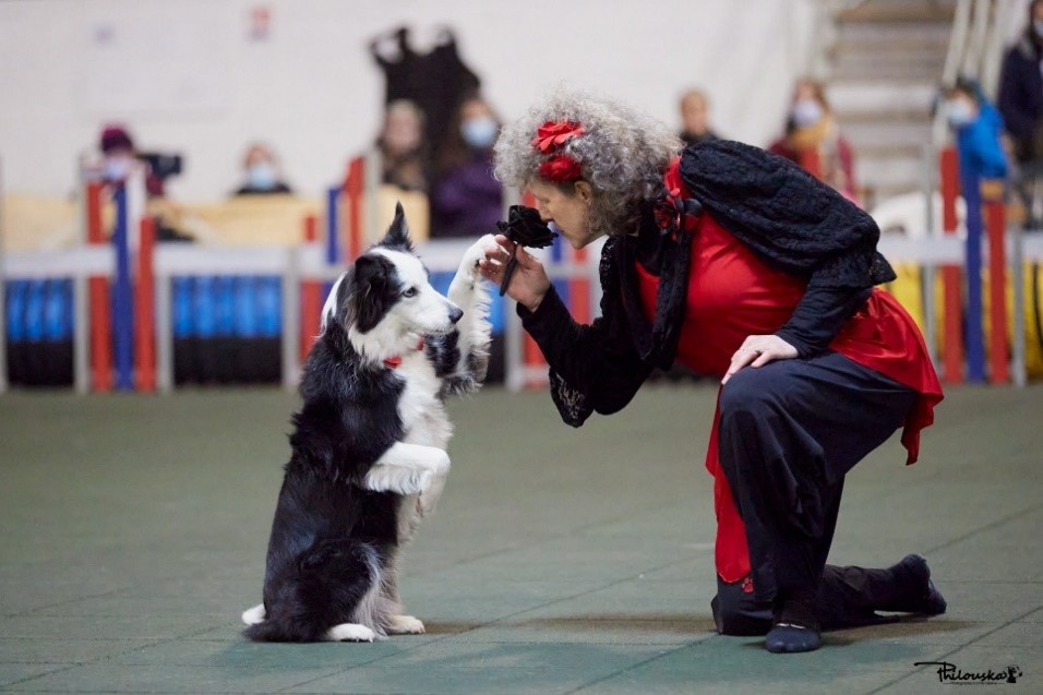 Séminaire Dog Dancing avec Alexandra Creusot