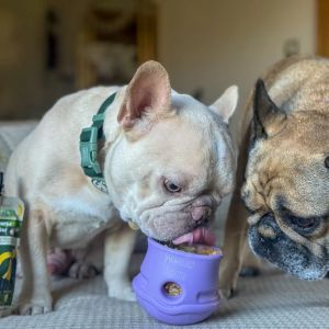 Jouet pour chien remplissable