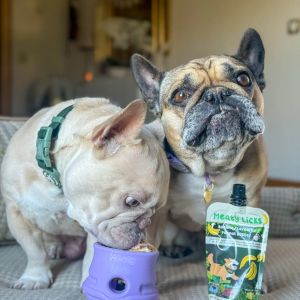 Jouet pour chien remplissable