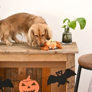 Nuit Howloween | Araignée - Jouet balle pour chien