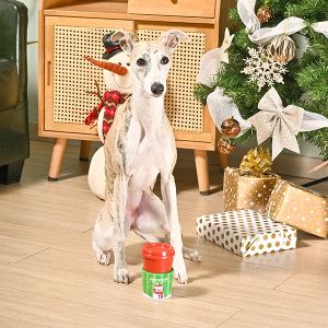 Jouet Puppuccino Bonhomme de Neige Woofmas